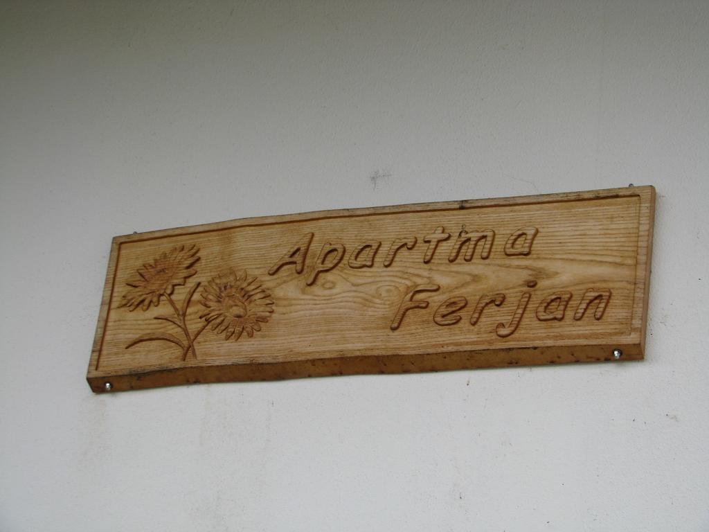 Apartma Ferjan Zaga Extérieur photo